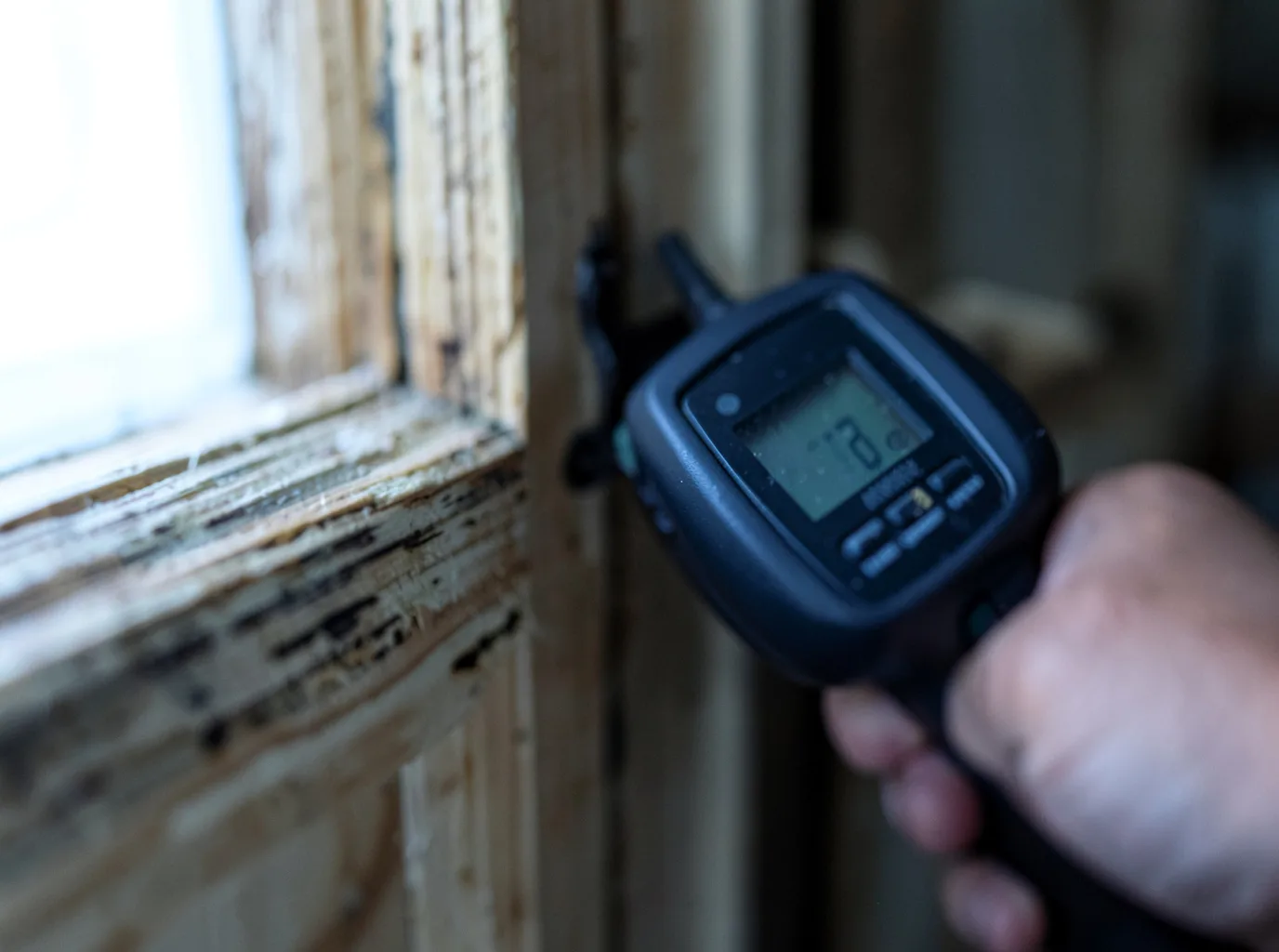Moisture Inspection And Documentation in Riverton, IL